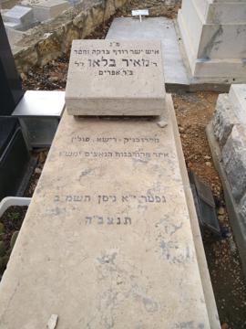 תמונת מצבה