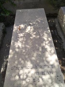 תמונת מצבה