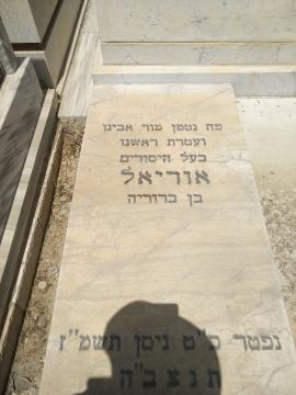 תמונת מצבה