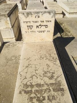 תמונת מצבה