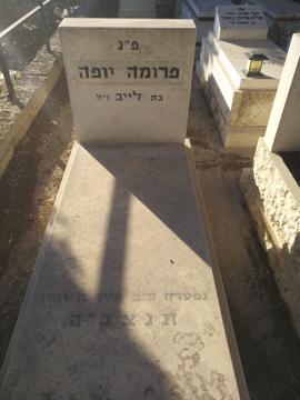 תמונת מצבה