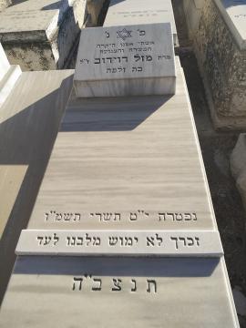תמונת מצבה