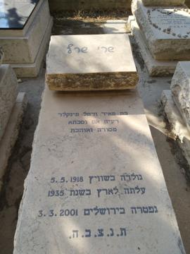 תמונת מצבה