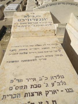 תמונת מצבה