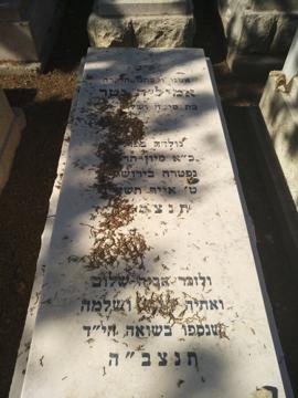 תמונת מצבה