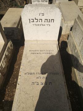 תמונת מצבה