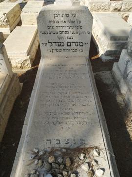 תמונת מצבה