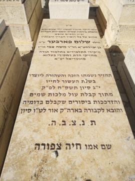 תמונת מצבה