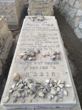 תמונת מצבה
