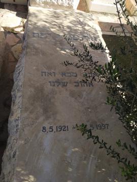 תמונת מצבה