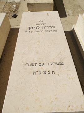 תמונת מצבה