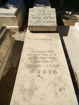 תמונת מצבה