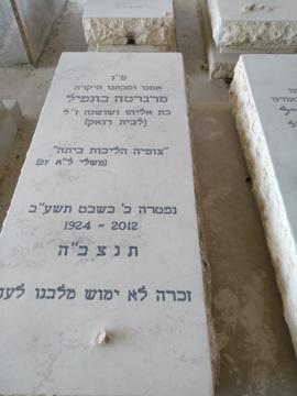 תמונת מצבה