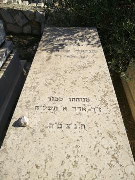 תמונת מצבה