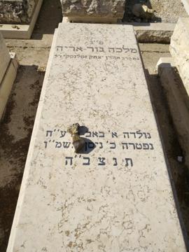 תמונת מצבה
