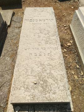 תמונת מצבה