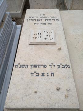 תמונת מצבה