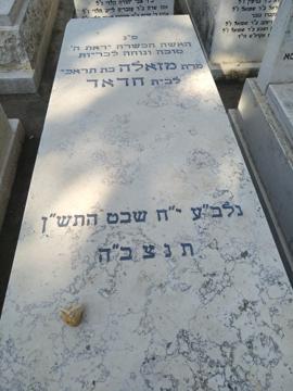 תמונת מצבה