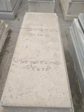 תמונת מצבה