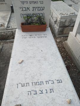 תמונת מצבה
