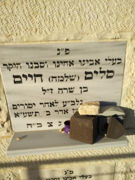 תמונת מצבה