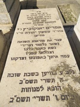 תמונת מצבה