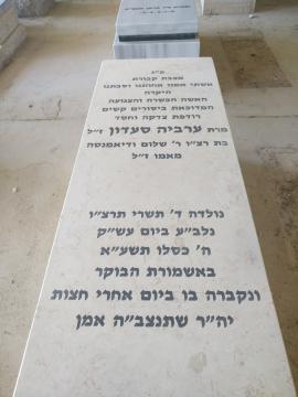 תמונת מצבה