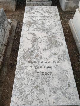 תמונת מצבה