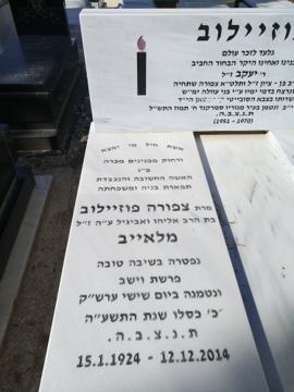 תמונת מצבה