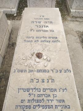 תמונת מצבה