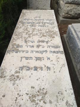 תמונת מצבה