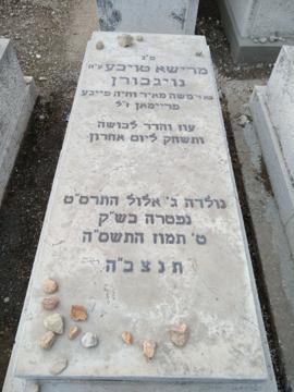 תמונת מצבה