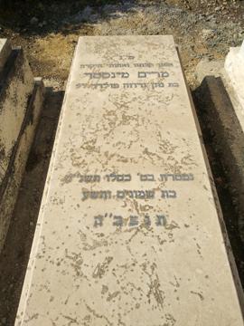 תמונת מצבה