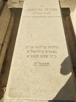 תמונת מצבה
