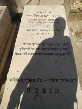 תמונת מצבה