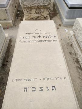 תמונת מצבה