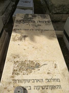 תמונת מצבה