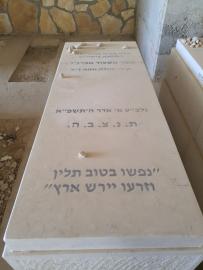תמונת מצבה