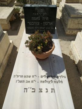 תמונת מצבה