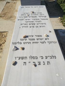 תמונת מצבה