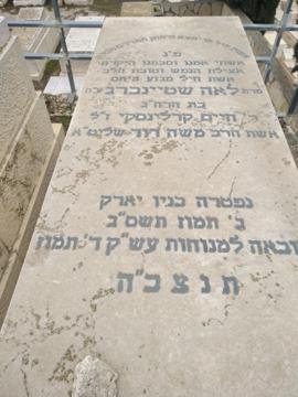 תמונת מצבה
