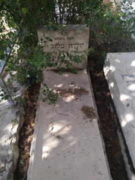 תמונת מצבה