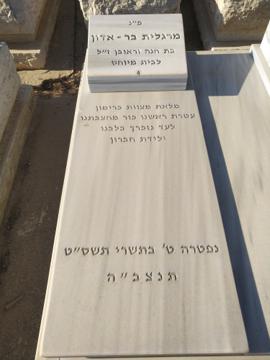 תמונת מצבה