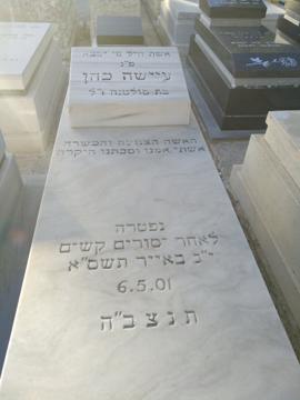תמונת מצבה