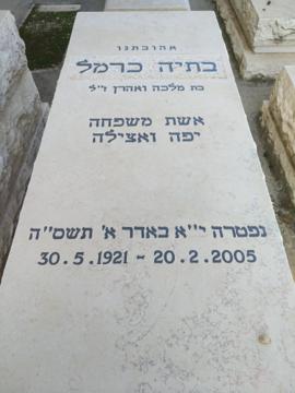 תמונת מצבה