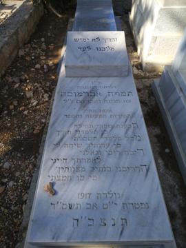 תמונת מצבה