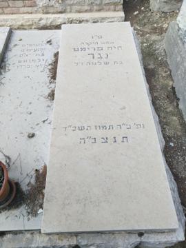 תמונת מצבה