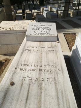 תמונת מצבה