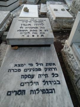 תמונת מצבה
