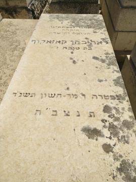 תמונת מצבה